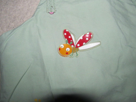 IMG_5434 IMG_5434