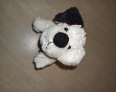 IMG_20201102_213304